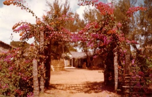 History Sharnga guest house